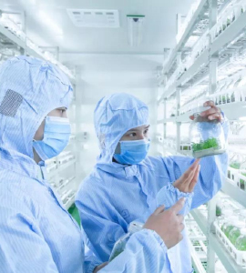 精东传媒app下载免费技术