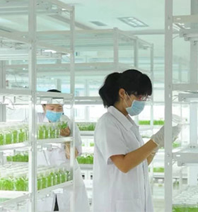 精东传媒app下载免费仪器