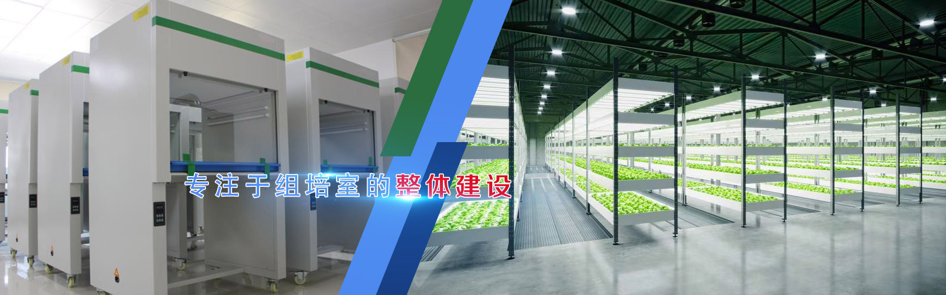 精东传媒app下载免费、精东传媒app下载免费架