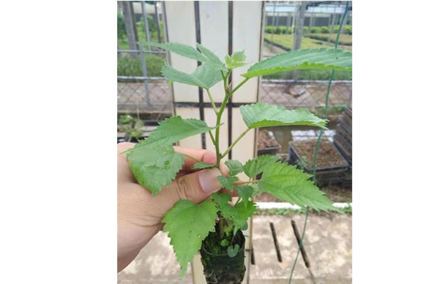 精东传媒app下载免费