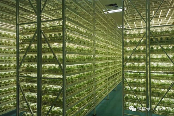 精东传媒app下载免费仪器设备